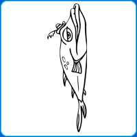 Skip-Jack The Stylish Fish Drawing Game