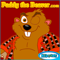 paddy