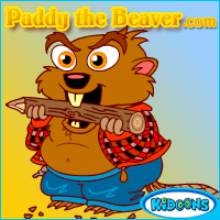 paddy