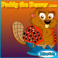 paddy