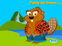 paddy