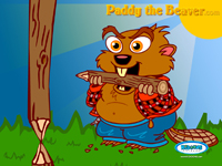 paddy
