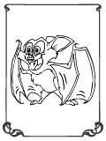 Bat Colouring Book