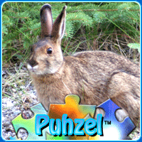 animal-puzzle-no-18