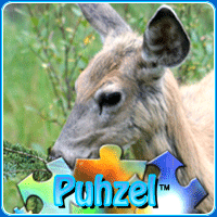 animal-puzzle-no-1