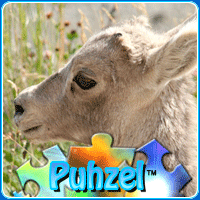 animal-puzzle-no-17