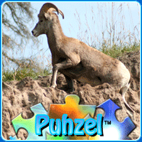 animal-puzzle-no-21