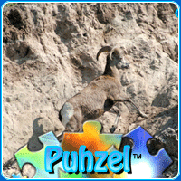 animal-puzzle-no-20