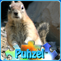 animal-puzzle-no-6