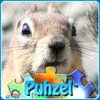 animal-puzzle-no-9
