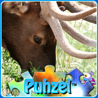 animal-puzzle-no-12