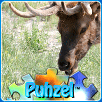 animal-puzzle-no-5