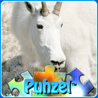 animal-puzzle-no-16