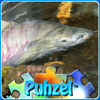 animal-puzzle-no-14