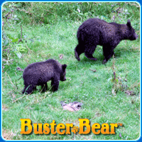 animal-puzzle-no-13