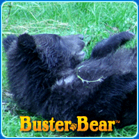 animal-puzzle-no-4