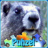 animal-puzzle-no-3