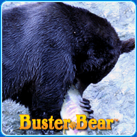 Animal Puzzle No. 2