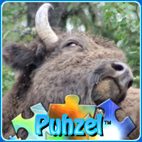 animal-puzzle-no-8