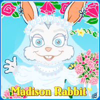 madison-rabbit-in-wedding-dress-up